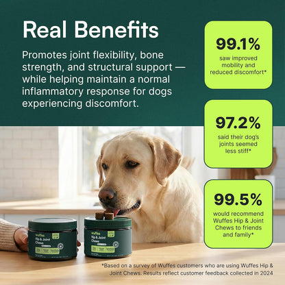 Hip & Joint Chews for Medium Breeds