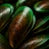 Green Lipped Mussels